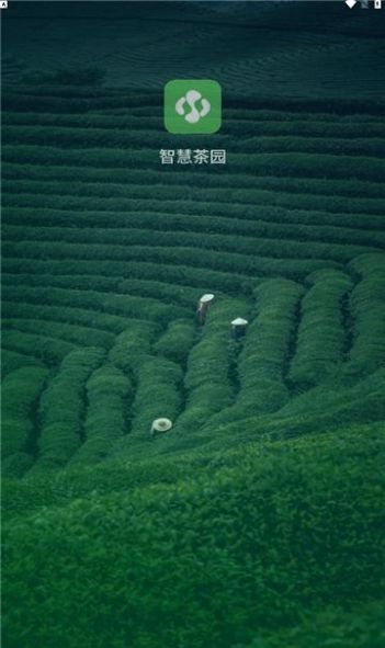 智慧茶园安卓版