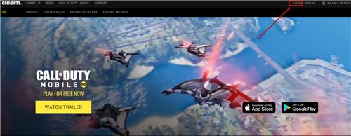 call of duty国际服