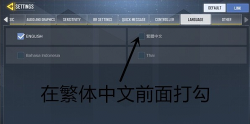 call of duty国际服