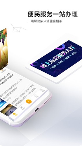 邳州银杏甲天下