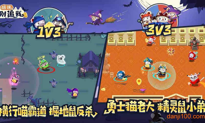 猫咪别追我手机版