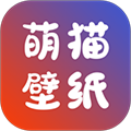 萌猫桌面壁纸最新版