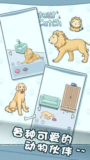 天天躲猫猫测试版