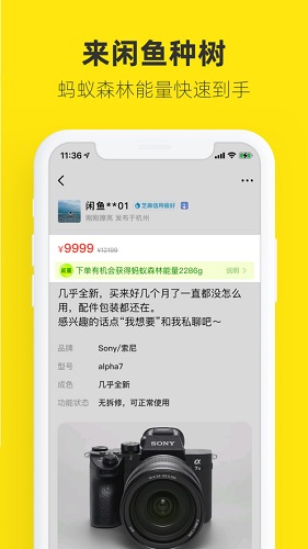 闲鱼安卓版