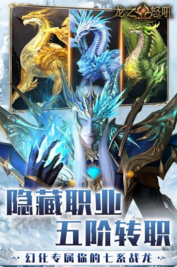 龙之怒吼小米版