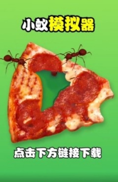 小蚁模拟器