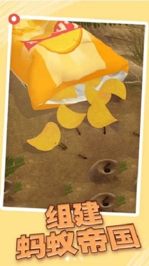 小蚁模拟器