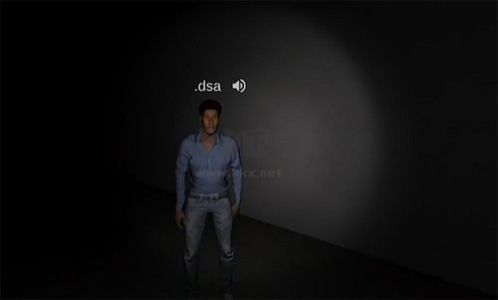 鬼魂恐怖生存(The Ghost)