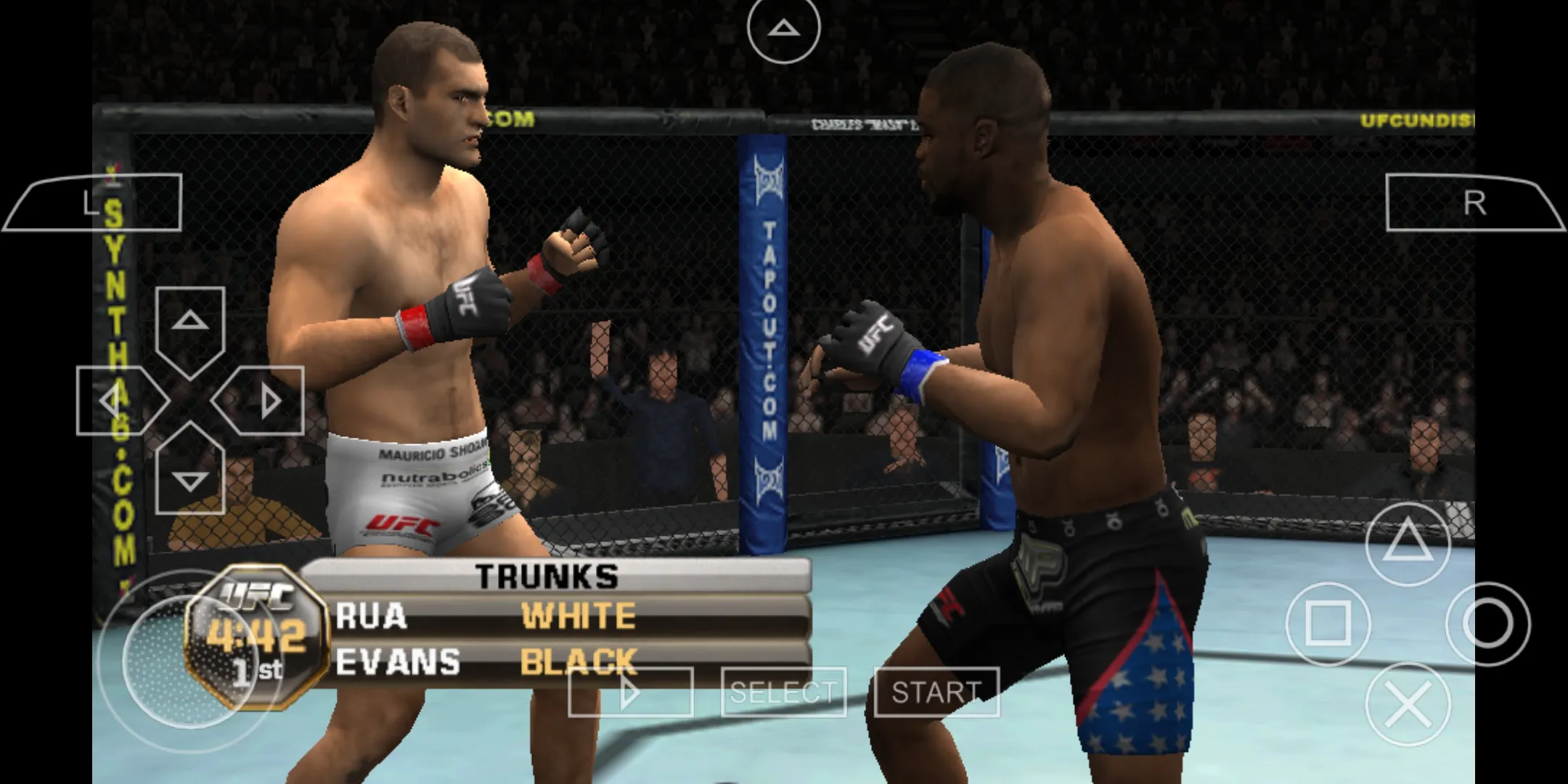 UFC终极格斗冠军赛2010