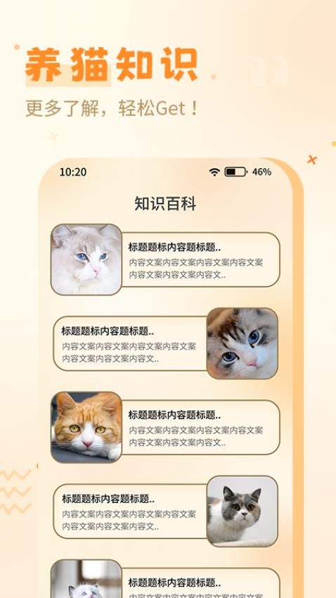 喵人猫语