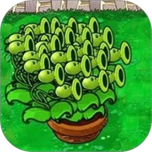 疯狂植物保卫战