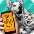 Pet Translator(中文版)