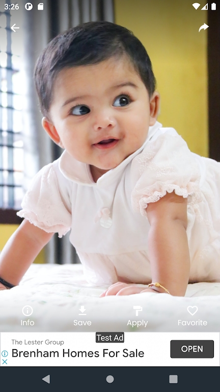 新像素壁纸(Newpixel Wallpaper)