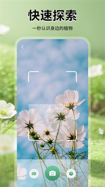 猫满花语app最新版