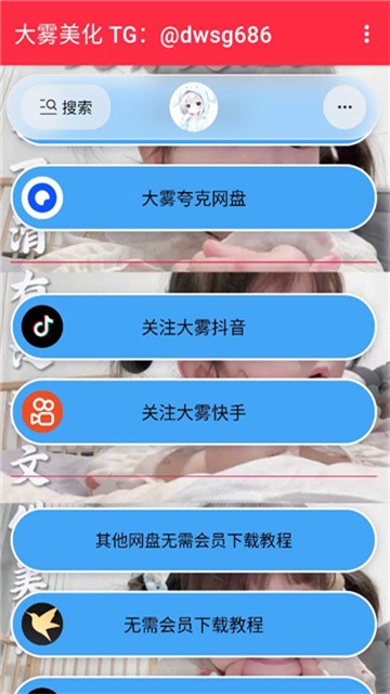 大雾美化包至尊版v20