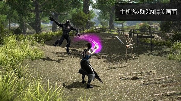 邪恶的土地手游(Evil Lands)