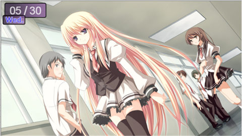 鸑鷟镜花水月中文版