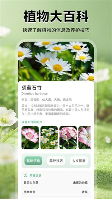 猫满花语app最新版