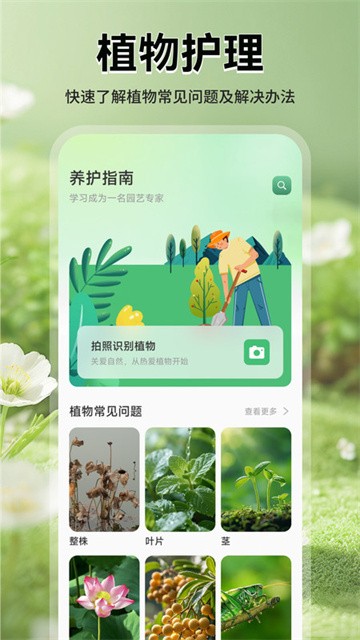 猫满花语app最新版