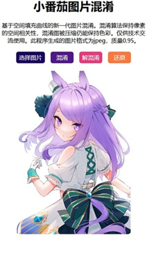 小番茄解码工具