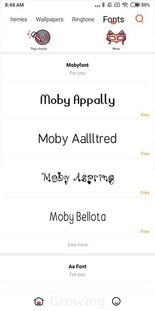 小米主题国际版2.2.8.6