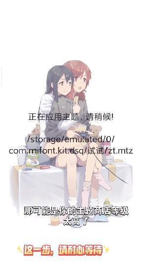 小米主题安装器pro官方版