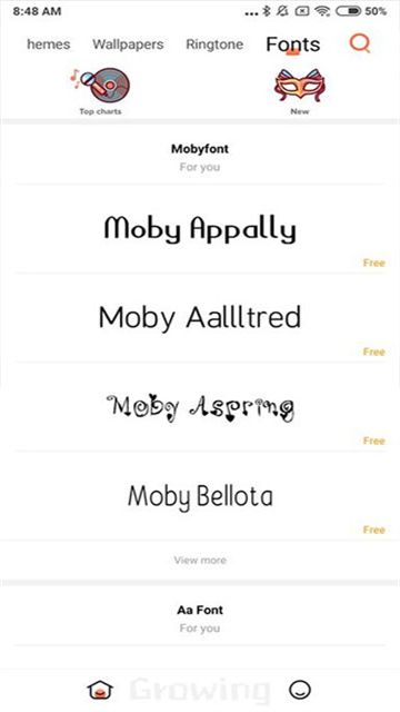 小米主题国际版官方版