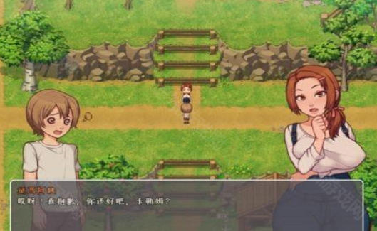 我的乡村日常生活手机版