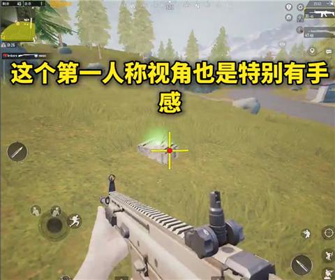 画质助手mxpro