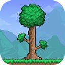 泰拉瑞亚皮皮蛙汉化版1.4.4.9