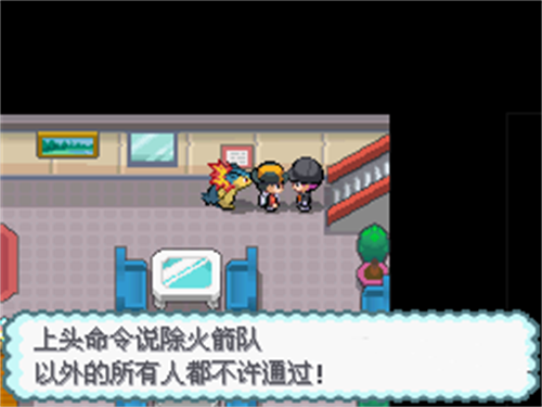 口袋妖怪心金493