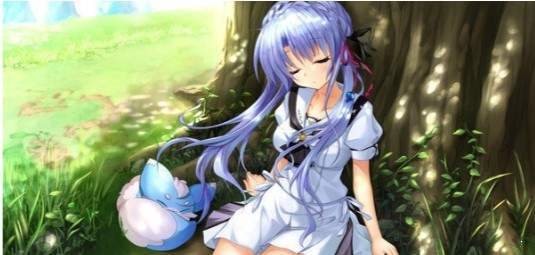 夏日口袋安卓直装版