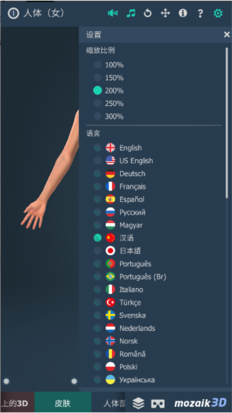 Human body (female)图片2