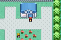 口袋妖怪叶绿中文珍藏版