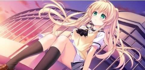 夏日口袋安卓直装版