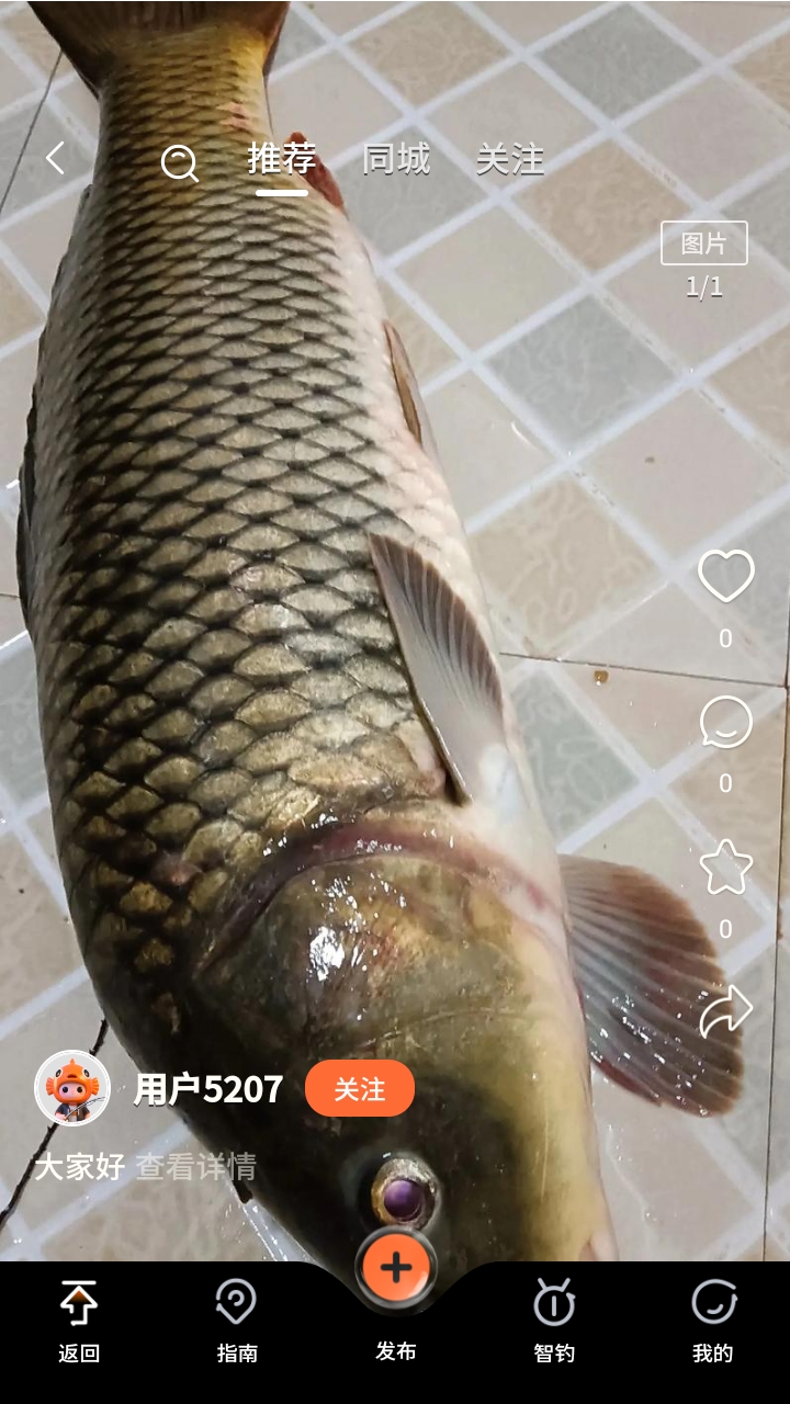 小红鱼APP官方安卓版