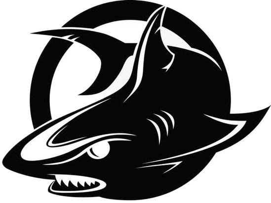 蓝龙直装最新版