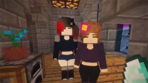 珍妮模组手机直装版