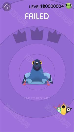 (Pigeon)单机版游戏