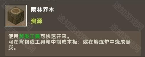 迷你世界雨林版本