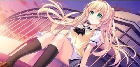 夏日口袋安卓直装版