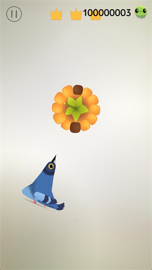 (Pigeon)单机版游戏