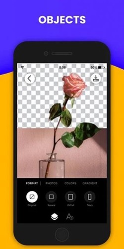 Background Changer app