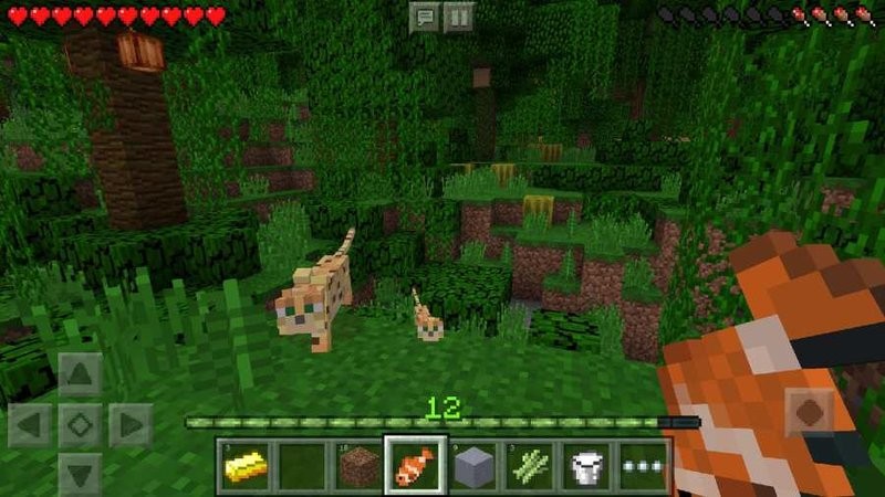 minecraft1.21.131.1