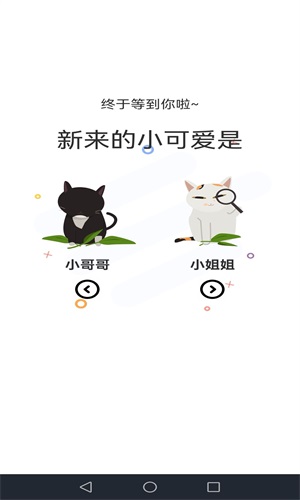喵上