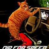 猫司机Nip For Speed