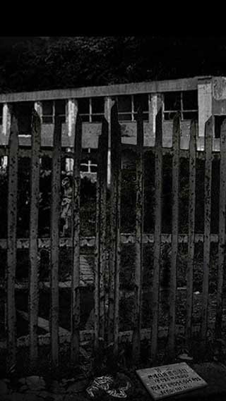 被遗弃的中学官网最新版