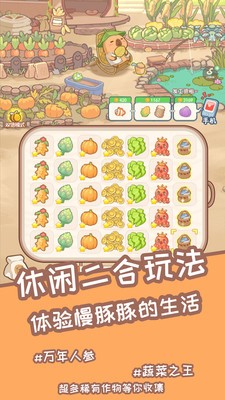 慢豚豚的生活小游戏最新正版