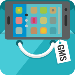 GMS谷歌服务包完整版(GMS Installer)