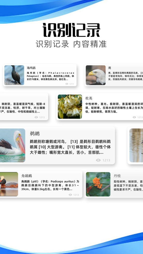 冷眸软件库2024官网版